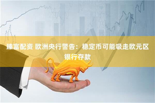 臻富配资 欧洲央行警告：稳定币可能吸走欧元区银行存款
