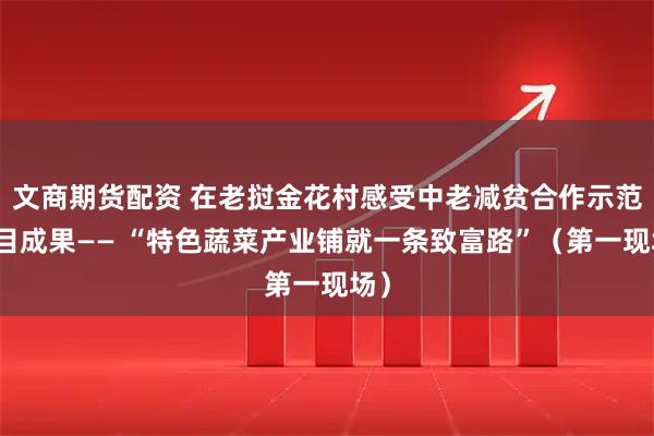 文商期货配资 在老挝金花村感受中老减贫合作示范项目成果—— “特色蔬菜产业铺就一条致富路”（第一现场）