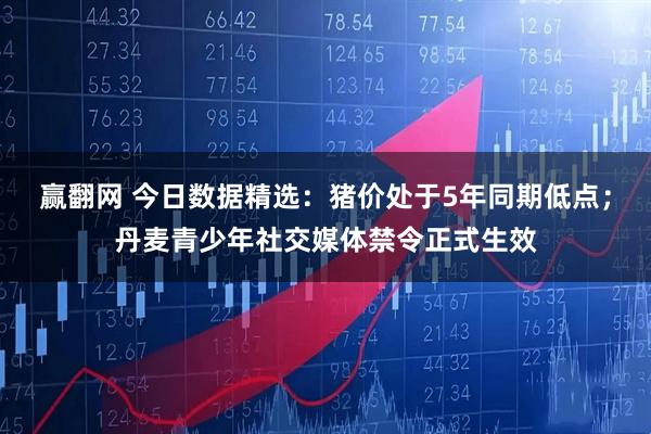 赢翻网 今日数据精选：猪价处于5年同期低点；丹麦青少年社交媒体禁令正式生效